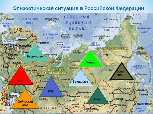 Эпизоотическая ситуация в РФ с 1 по 8 апреля 19г.