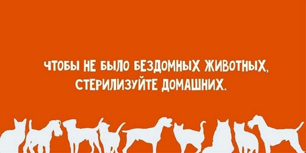 Льготная стерилизация - 15 числа ежемесячно!