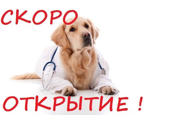 Скоро ОТКРЫТИЕ НИЖНЕИЛИМСКОГО ФИЛИАЛА!!!