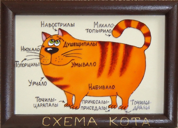 Набор опытной группы