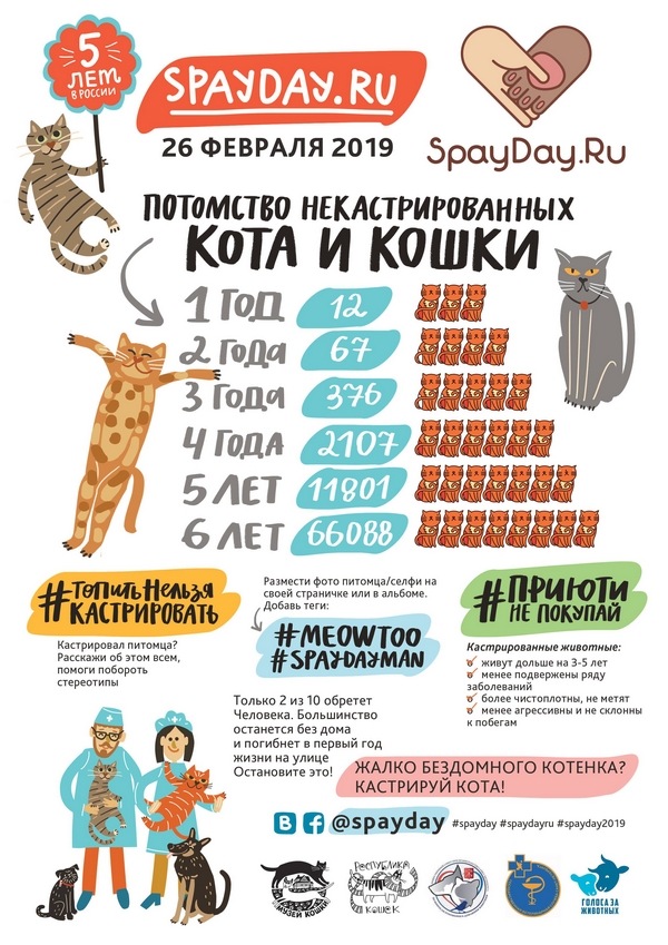 Завтра хирургический марафон!!! Ждем Ваших питомцев!