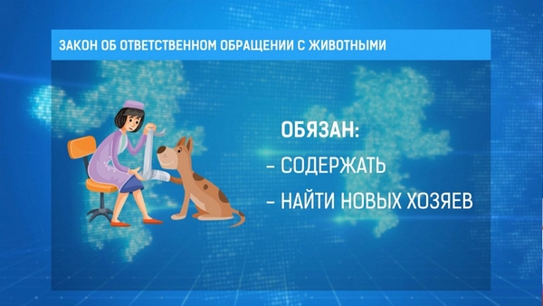 Закон РФ "Об ответственном обращении с животными" Ключевые моменты для владельцев животных