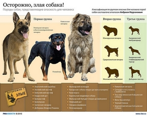 Опасные породы собак. в картинках