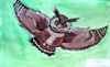 97