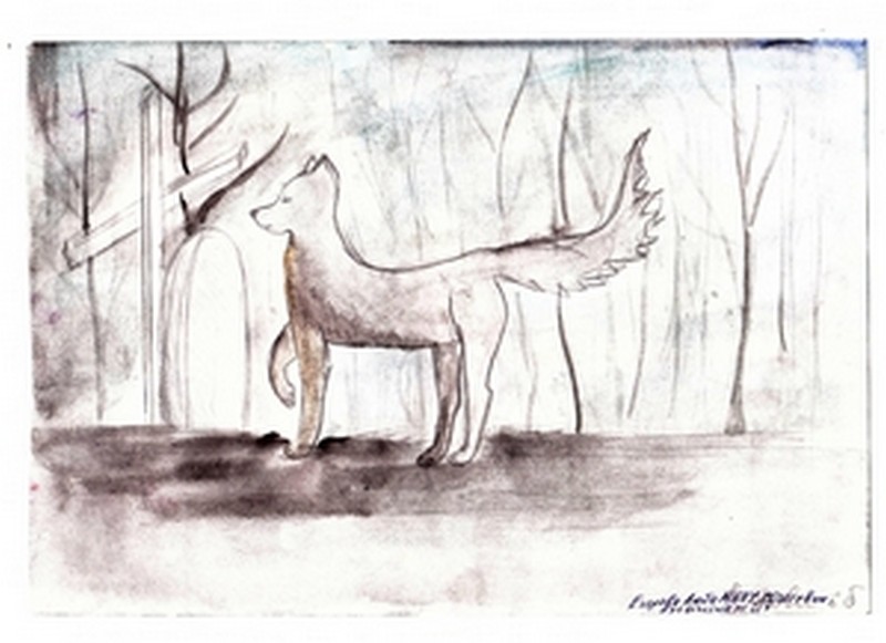 Егорова Л. шк.8