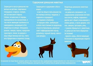 Правила содержания питомцев, в картинках
