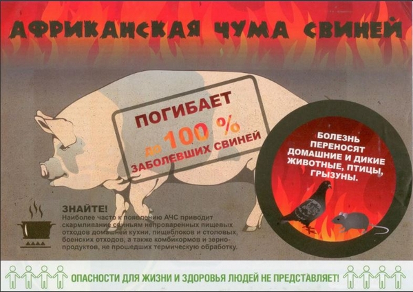 АЧС в 2020 г.
