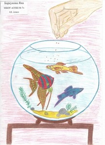 Барсукова Яна, 7 школа
