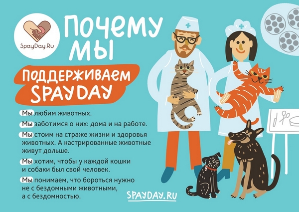 Всемирный День кастрации и стерилизации домашних животных 25.02.2020