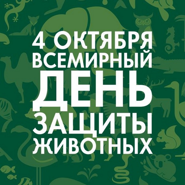 4 октября - Всемирный день защиты животных!