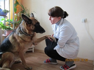 Добро пожаловать в клинику