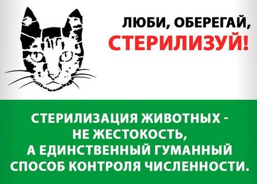 Итоги льготной стерилизации животных от 15.04.2020