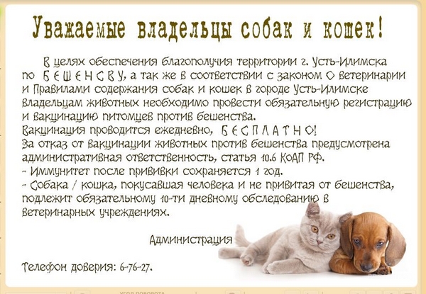прививки от БЕШЕНСТВА