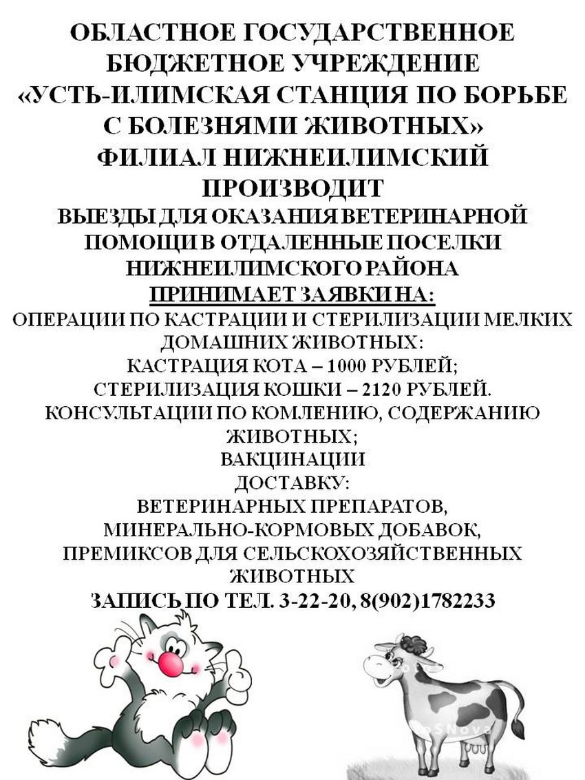 Выездная ветеринарная помощь