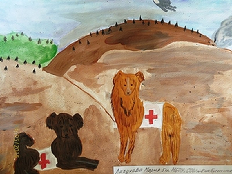 Лазуркова М., шк.8