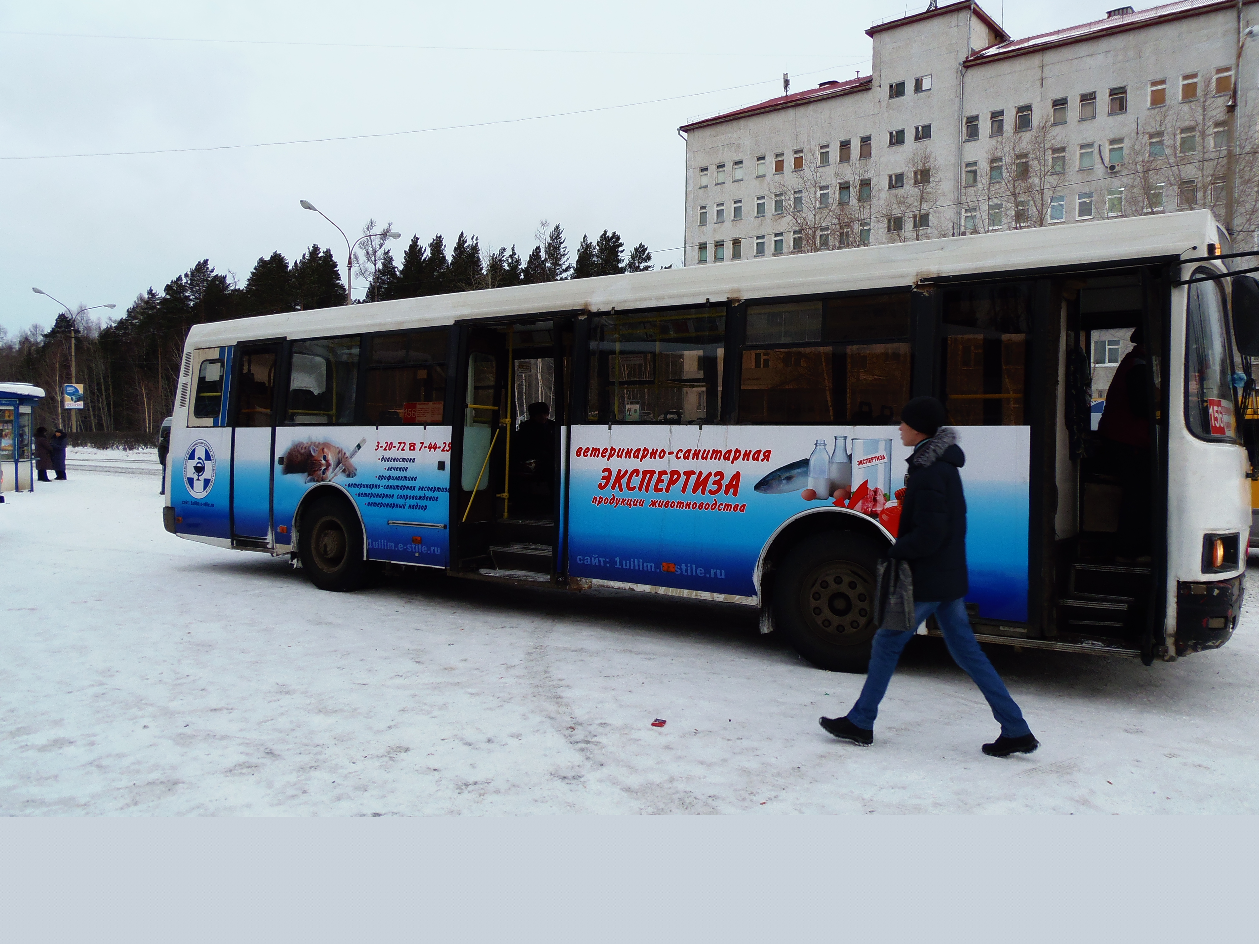 Реклама ветслужбы