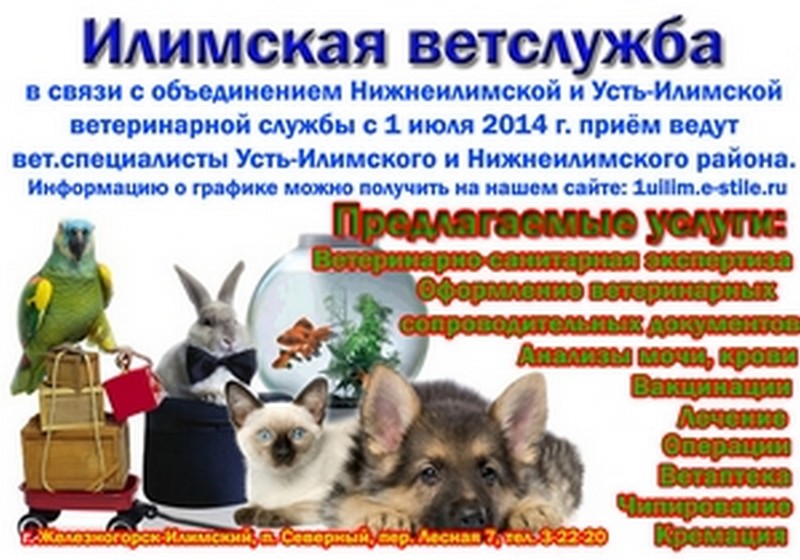 Объединение Нижнеилимской и Усть-Илимской ветслужбы