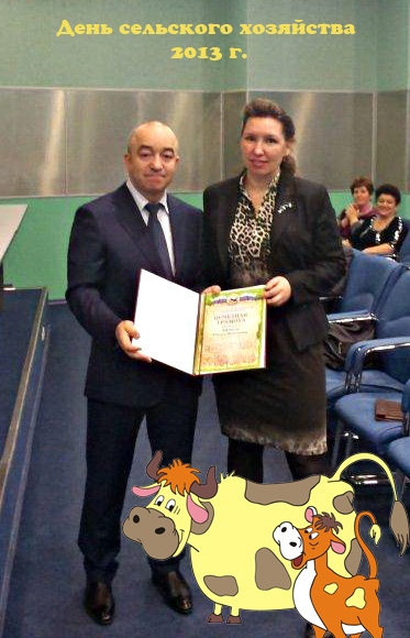 Иркутск 2013