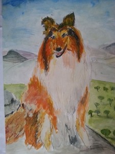 Шестакова Евелина,  9 школа