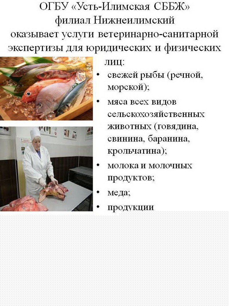 Ветеринарно-санитарная экспертиза в г. Железногорск-Илимский КАЖДУЮ СРЕДУ!!!