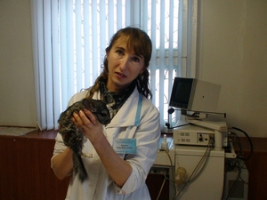 Кузмина В.Н.